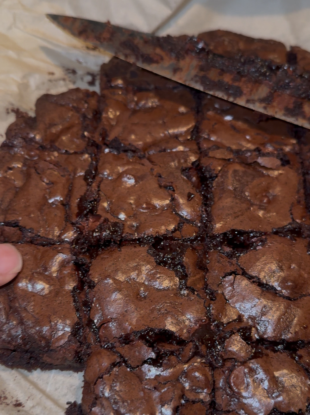 Chocolate Brownie 