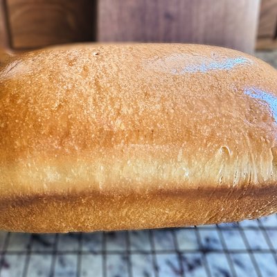 Butter Top Sourdough 