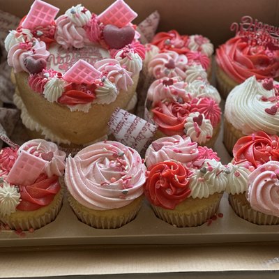 Bento & Cupcake Box 