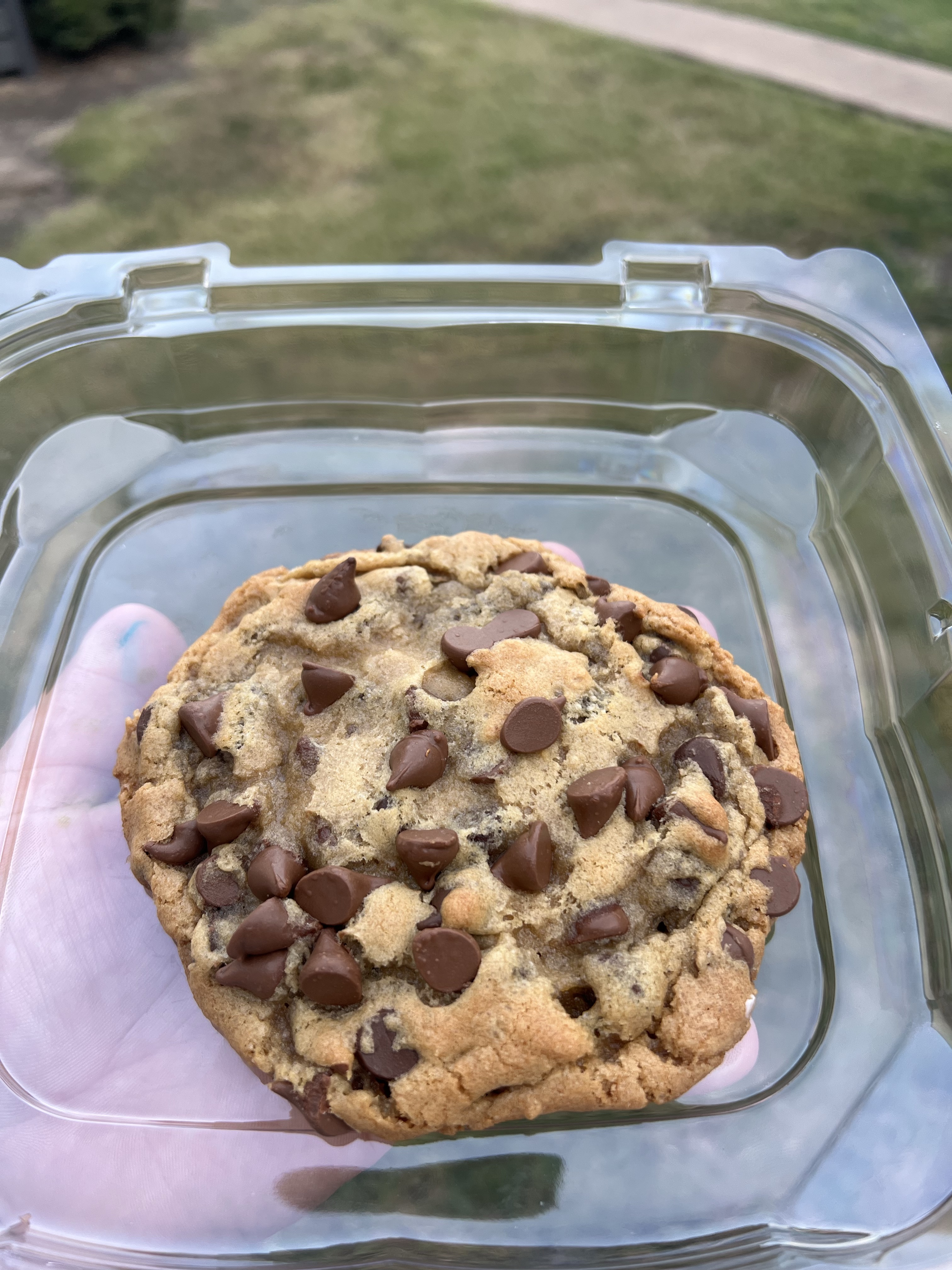 Double Chocolate Chip Cookies