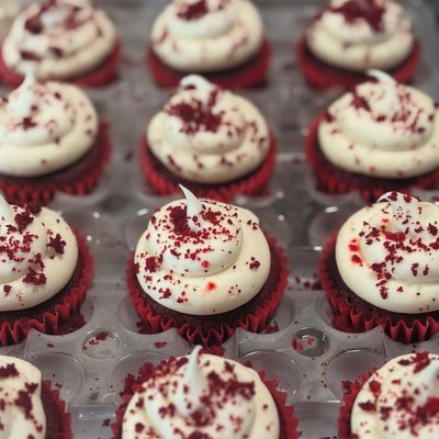 REG. DOZEN CUPCAKES 