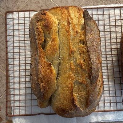 Dill Pickle Havarti Sourdough 