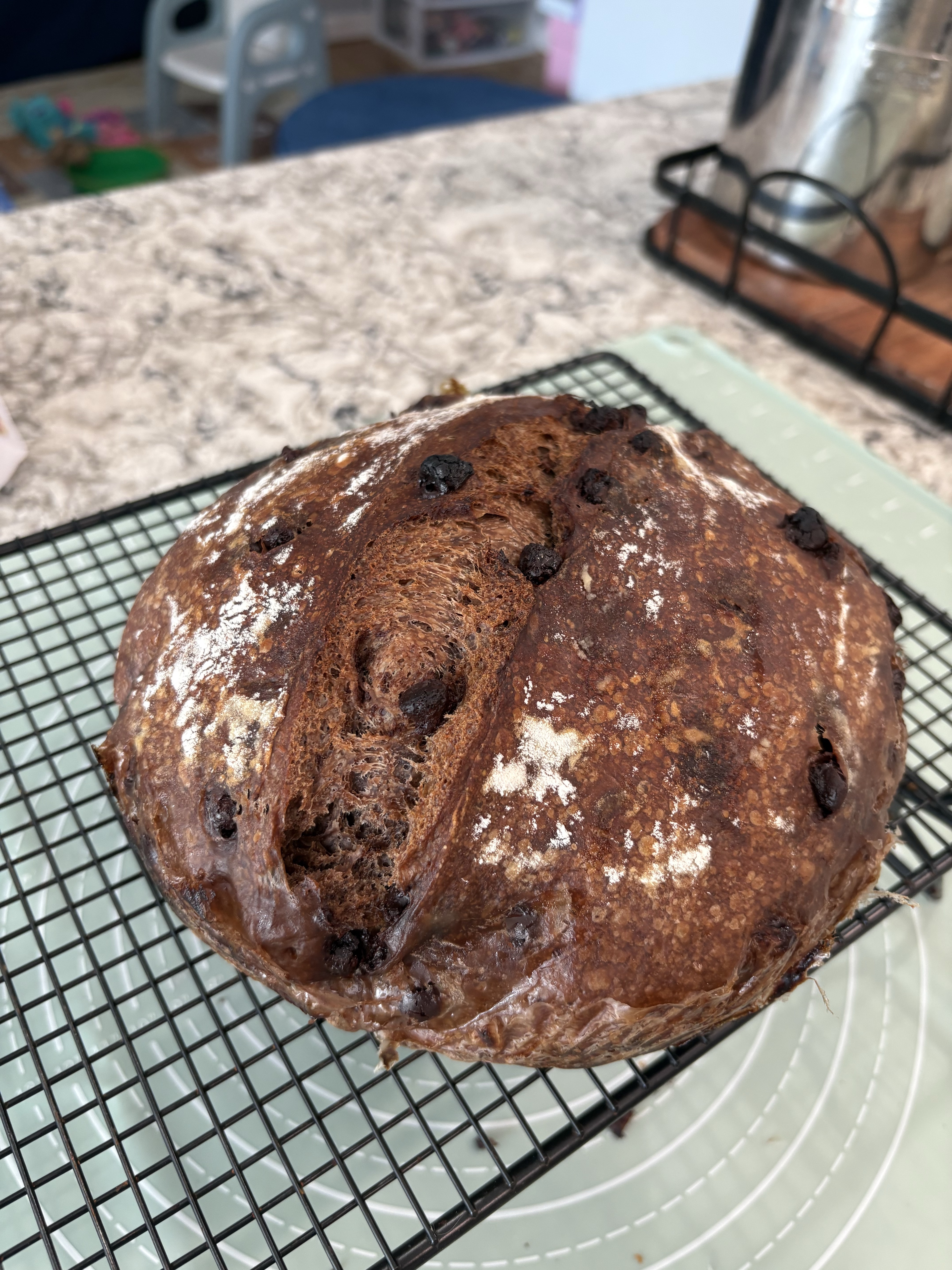 Hot Cocoa Espresso Chocolate Chip Sourdough Loaf