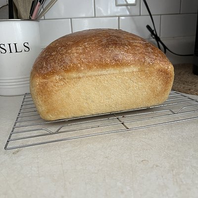 Sandwich Bread 