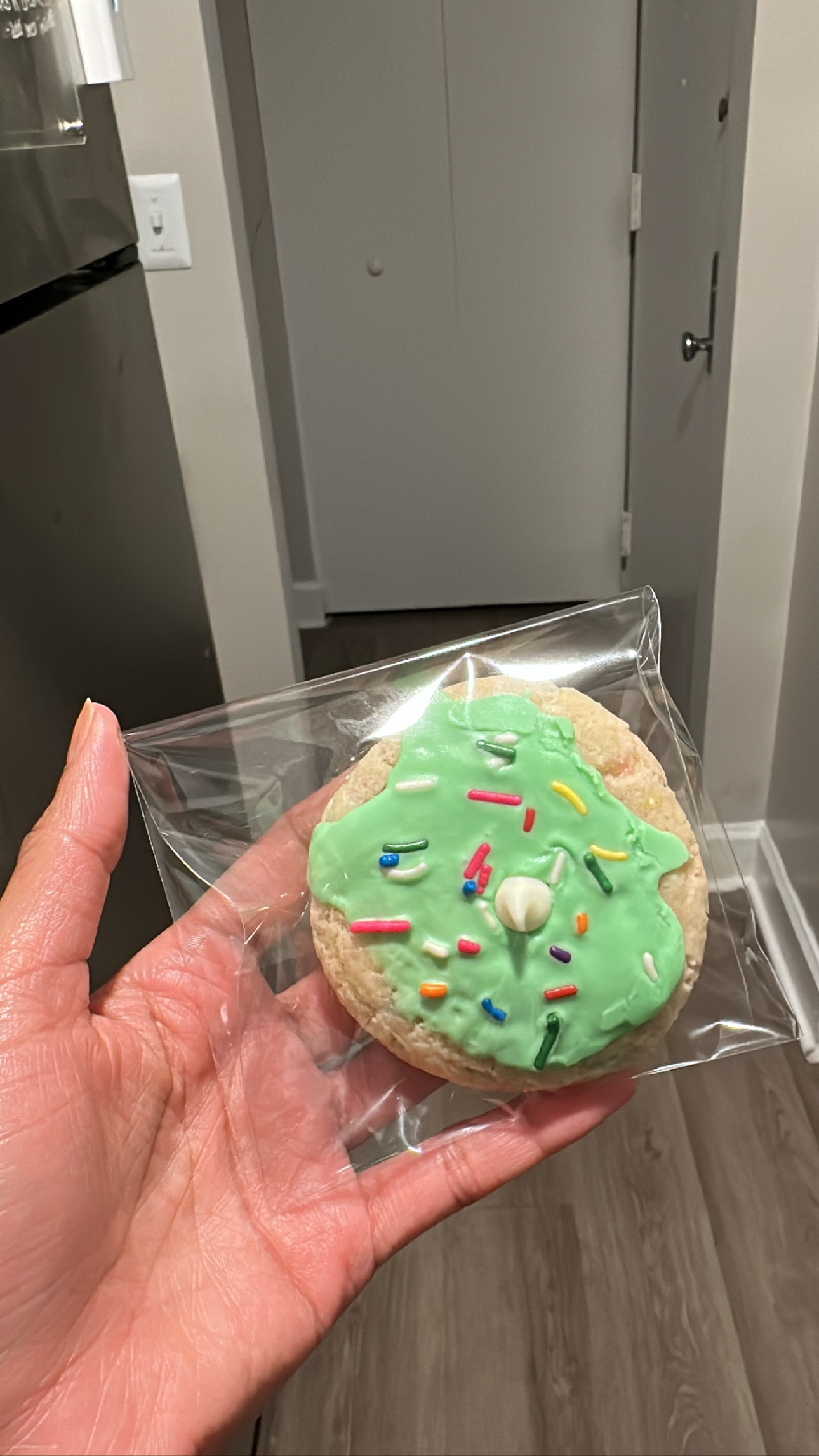 Birthday Cake Cookie🎂 (with icing)