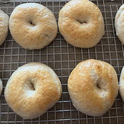 Plain Bagels (8)
