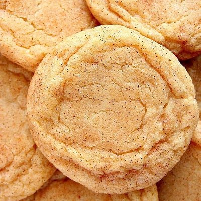Snickerdoodle X2