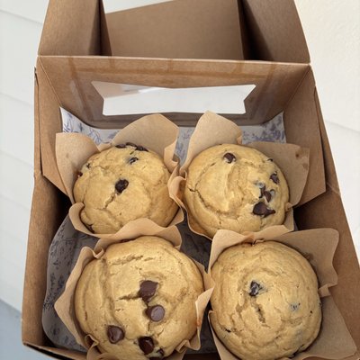 Sourdough Chocolate Peanut Butter Jumbo Muffins