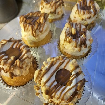  12 Peanut and Jelly Specialty Cupcakes 