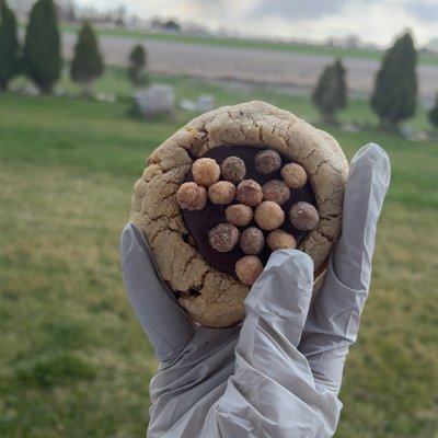 Reeces Puffs 