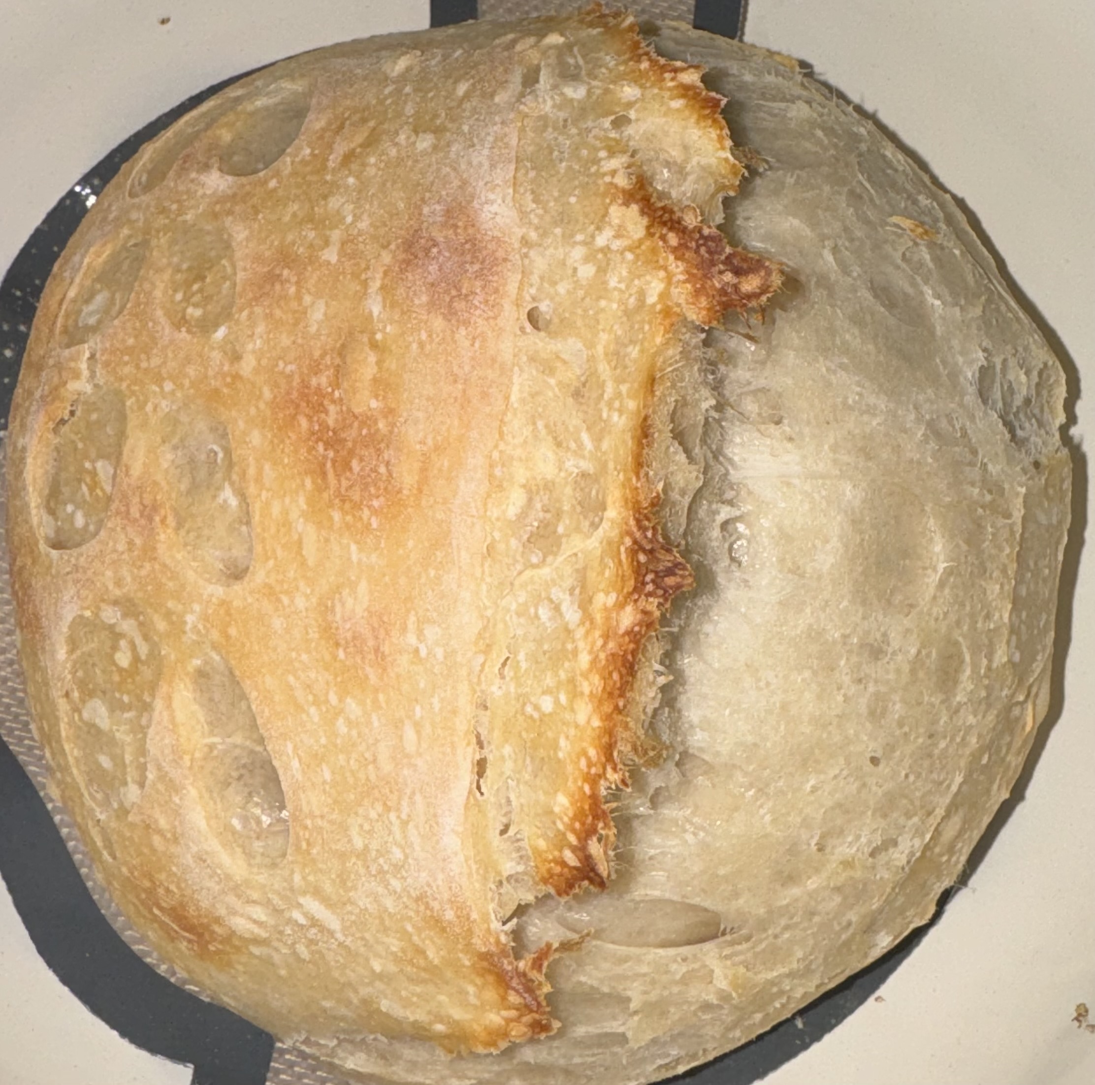 Plain Sourdough Loaf 
