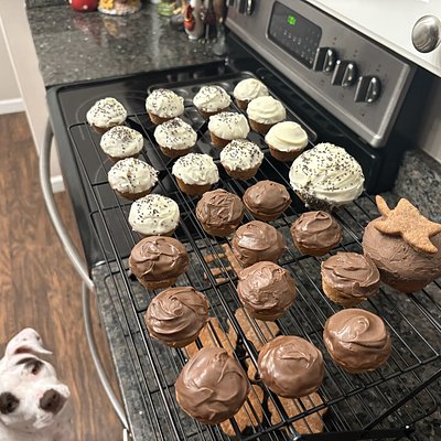 Mini Pup Cakes