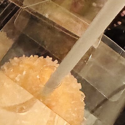 1 dozen Yellow Cake Pop