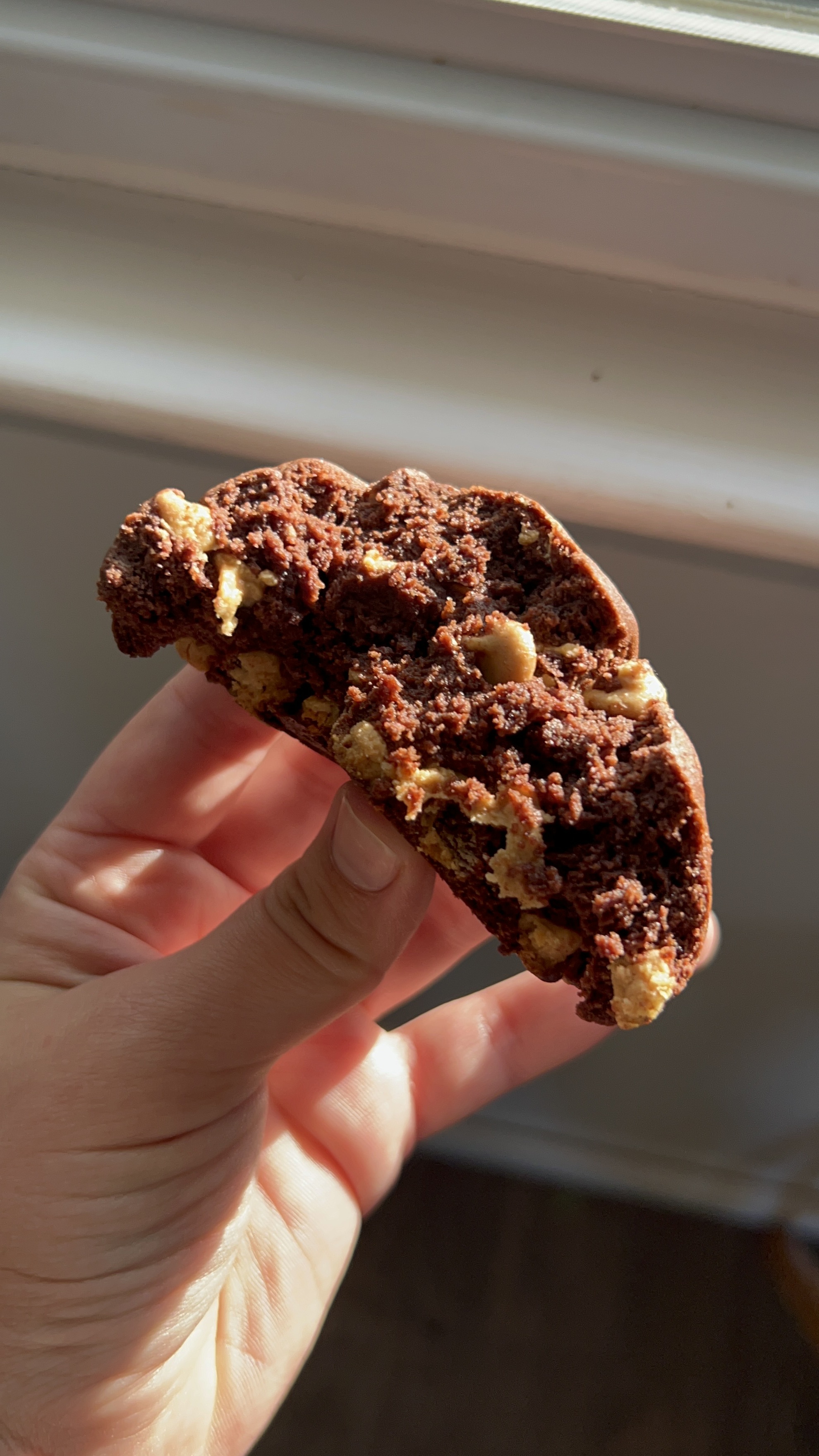 Mondo Chocolate Peanut Butter Cookie 