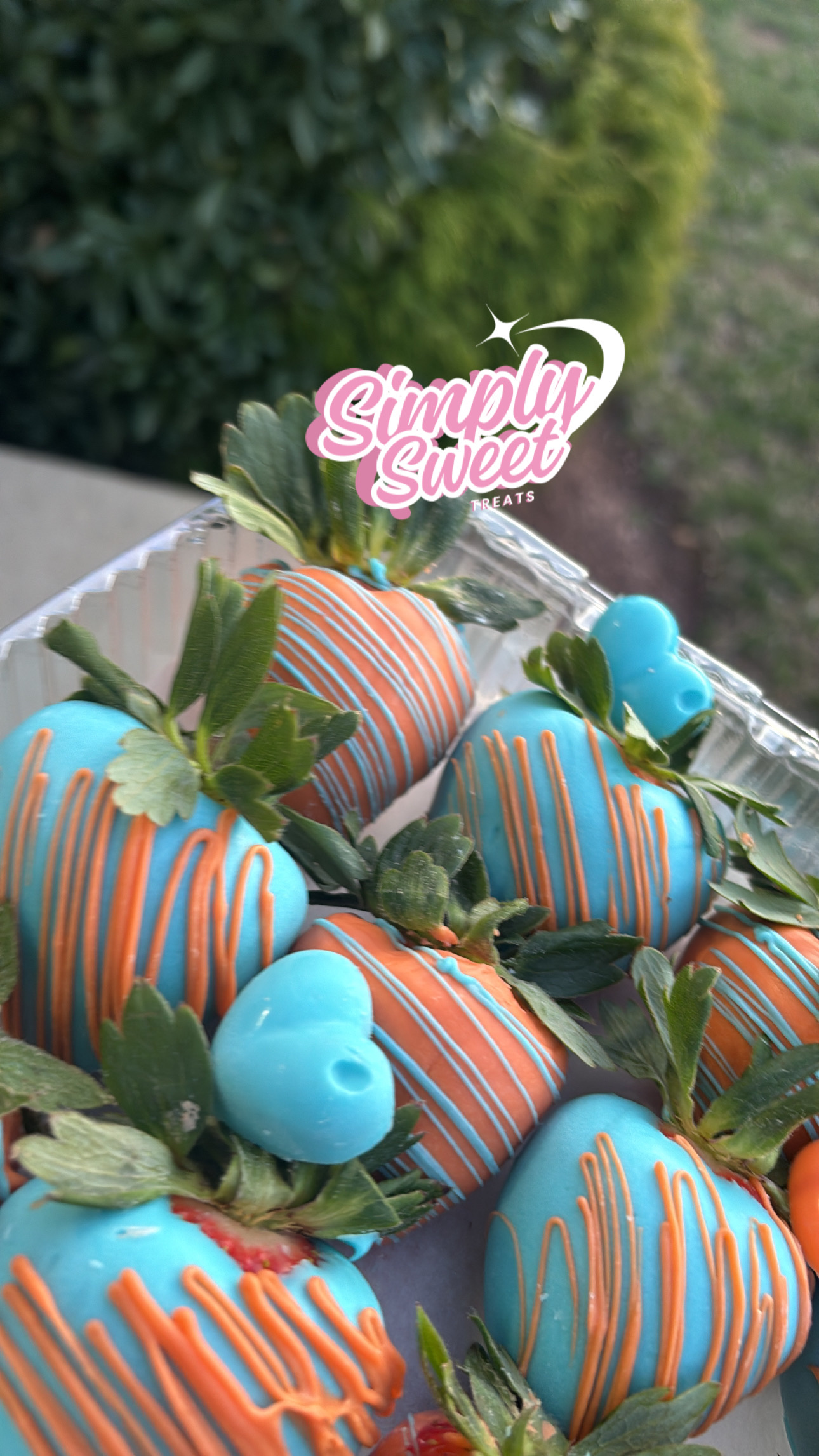 Dozen Of Chocolate Covered Strawberries 