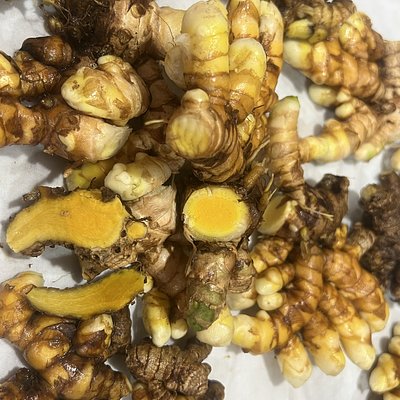 Turmeric Orange 30g