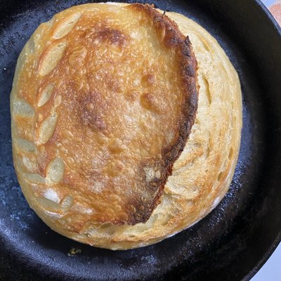 Sourdough Loaf 