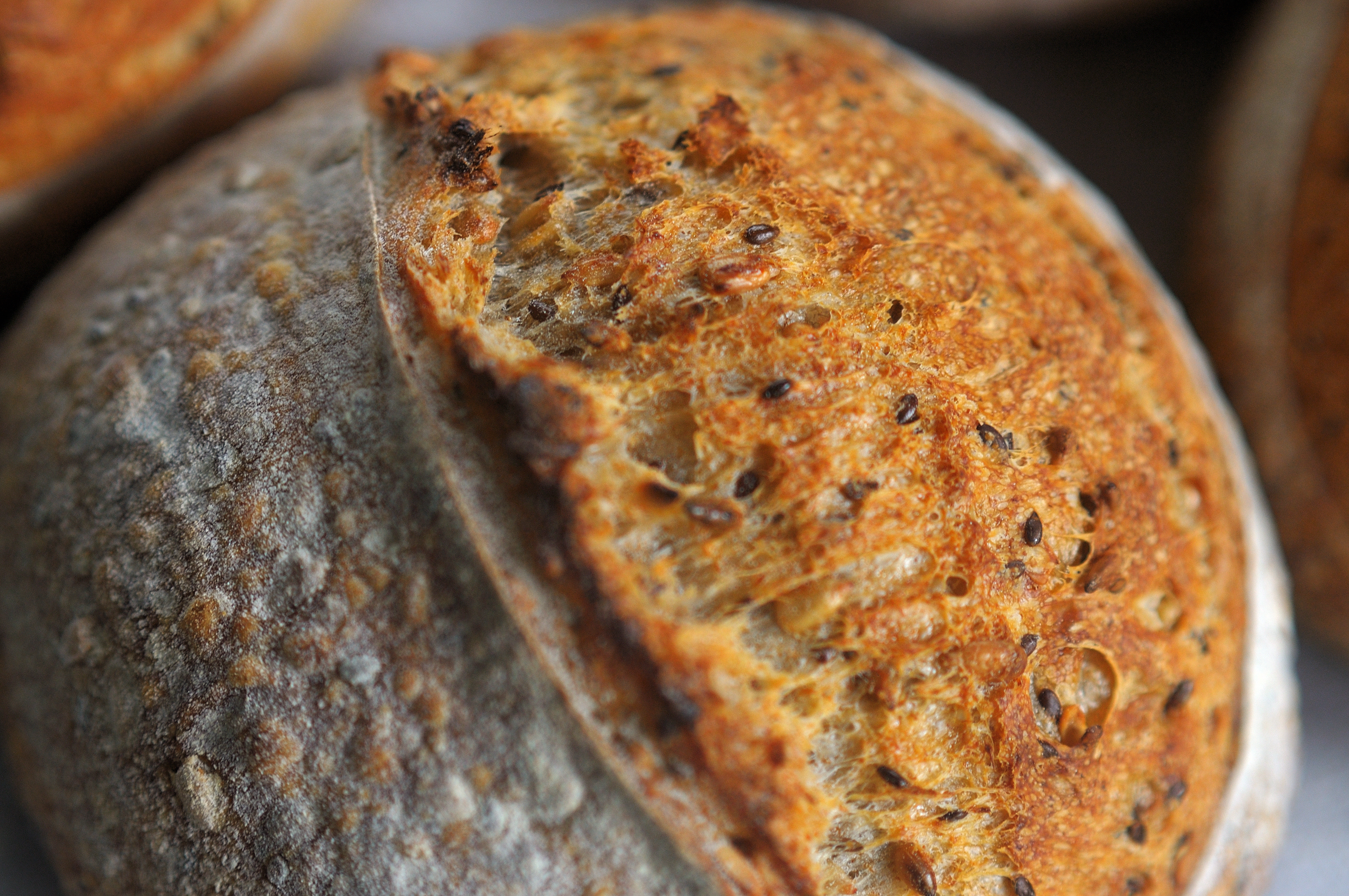 One Flavor Sweet Sourdough Loaf