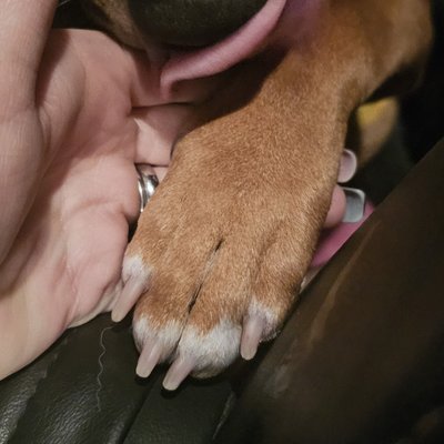 Nail Trims 