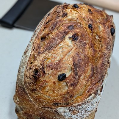 Carrot Cake Celebration Sourdough 
