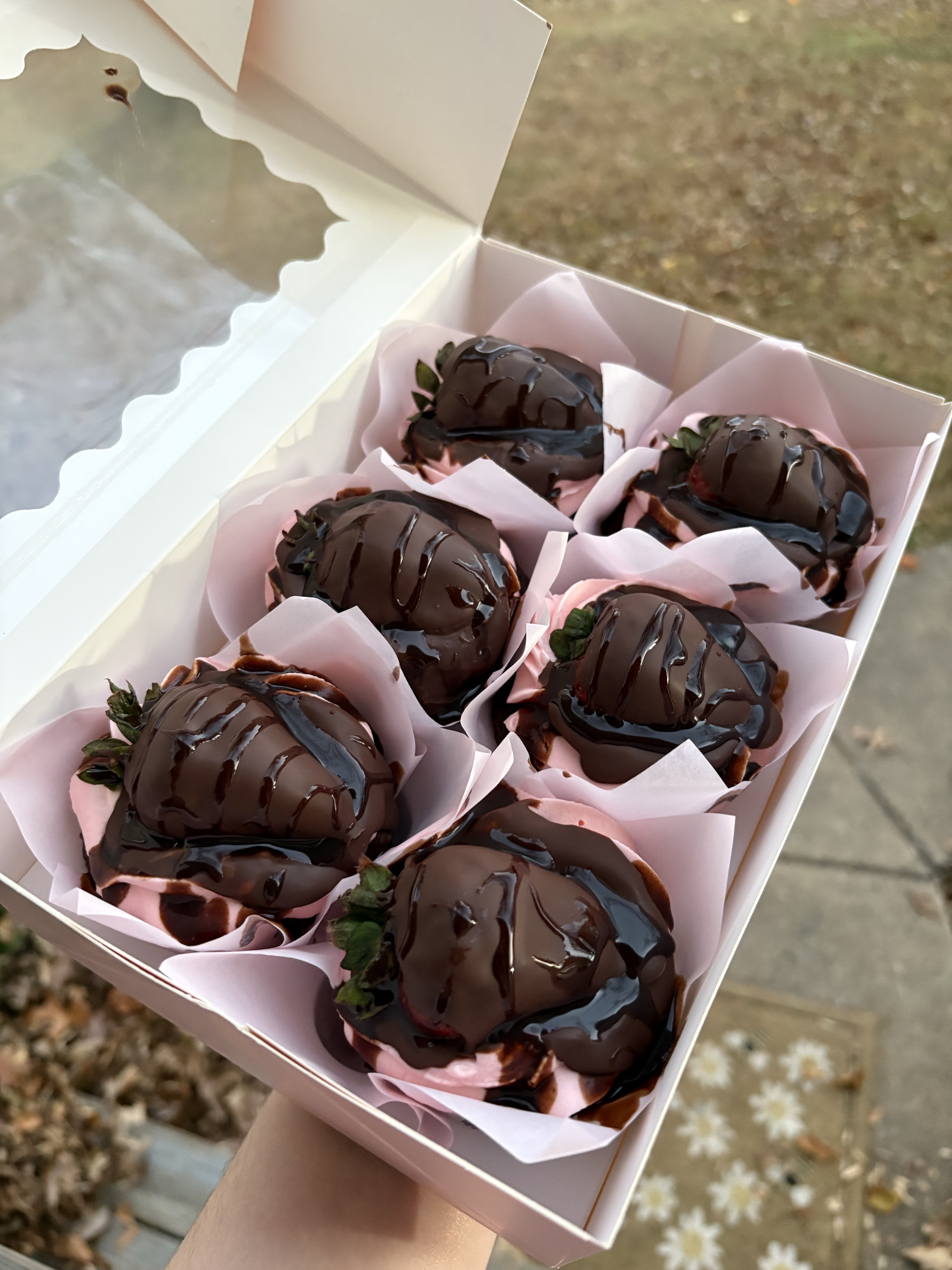 DOZEN Chocolate Strawberry🍓🍫