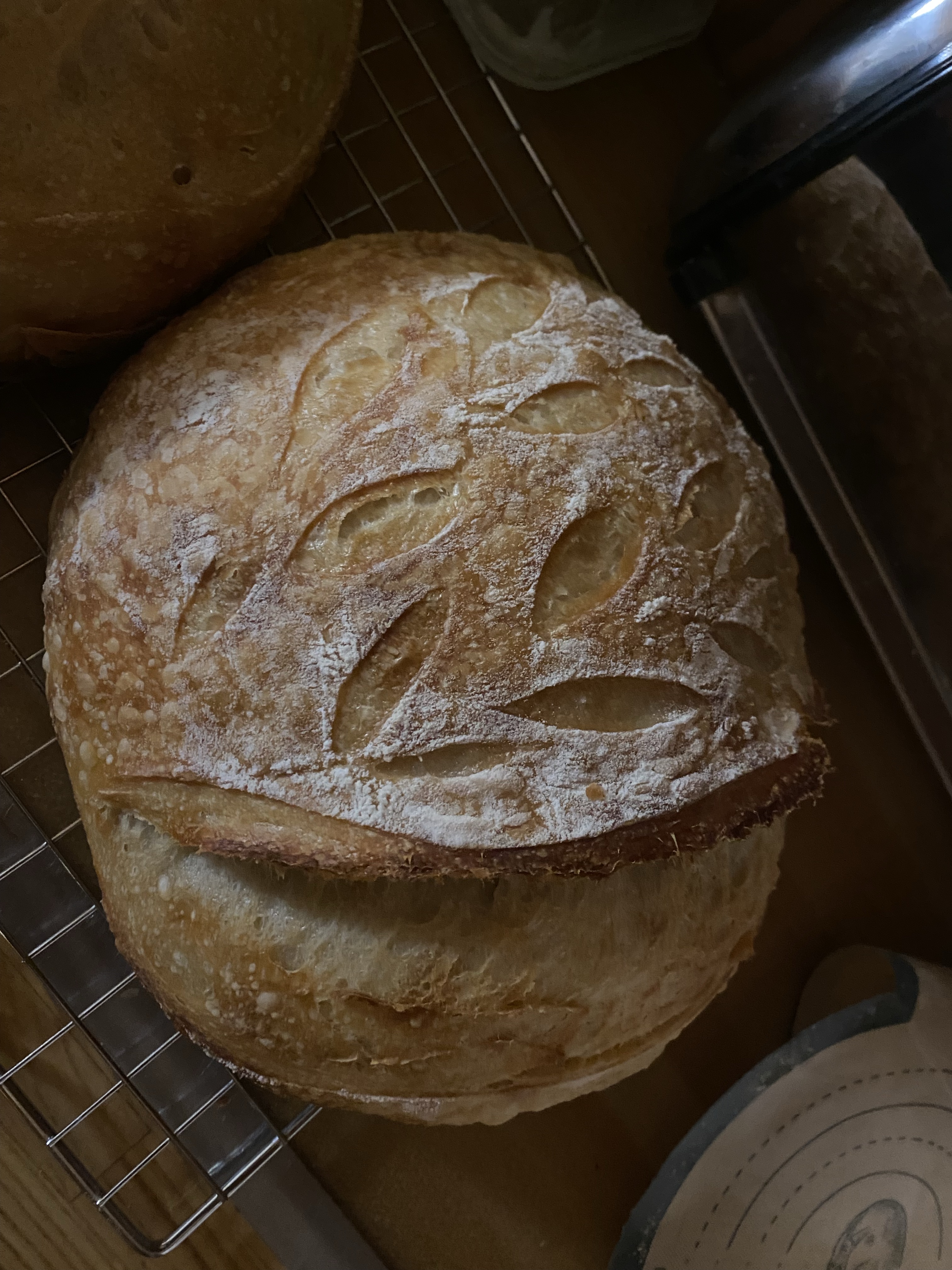 Garlic Parmesan Sourdough 