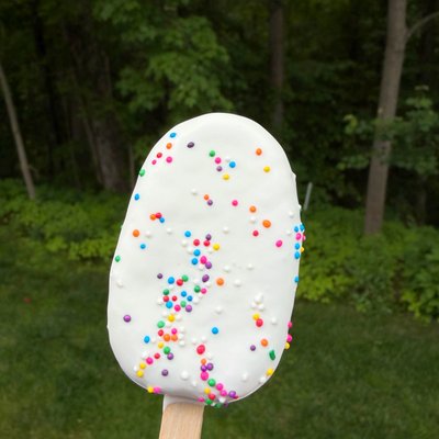 Dot Sprinkle Cakesicle 🌈