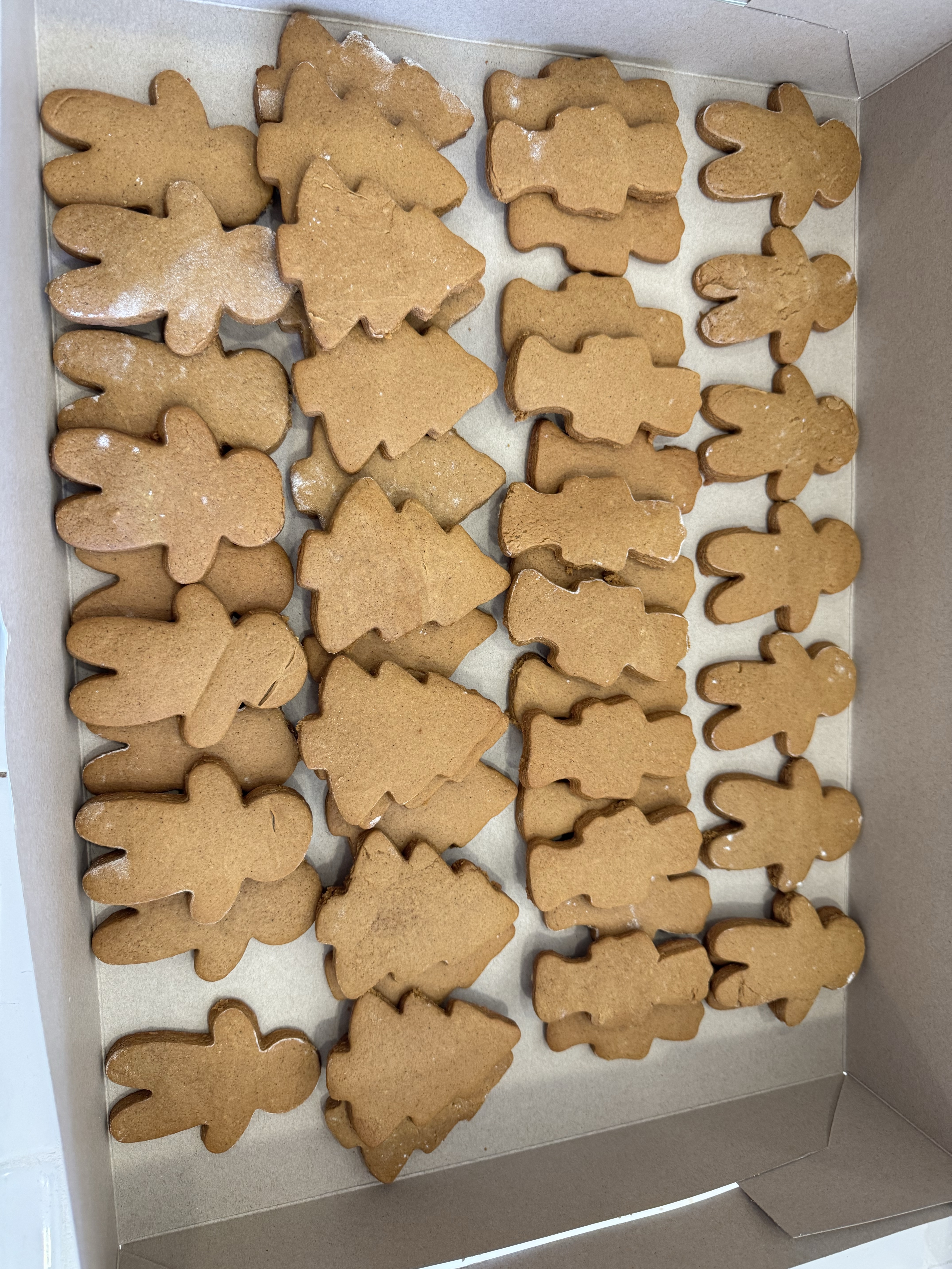 Gingerbread Cookies 