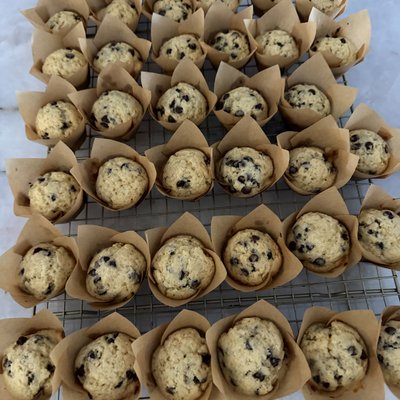 Sourdough Mini Muffins 