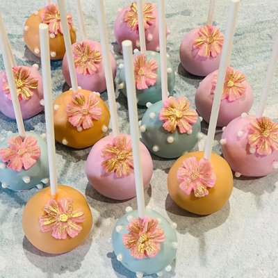 Cakepops Intricate Dozen