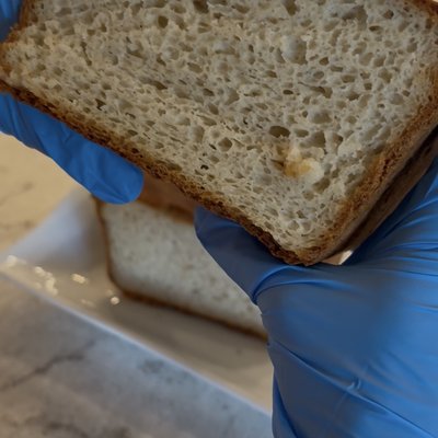 Sandwich Bread