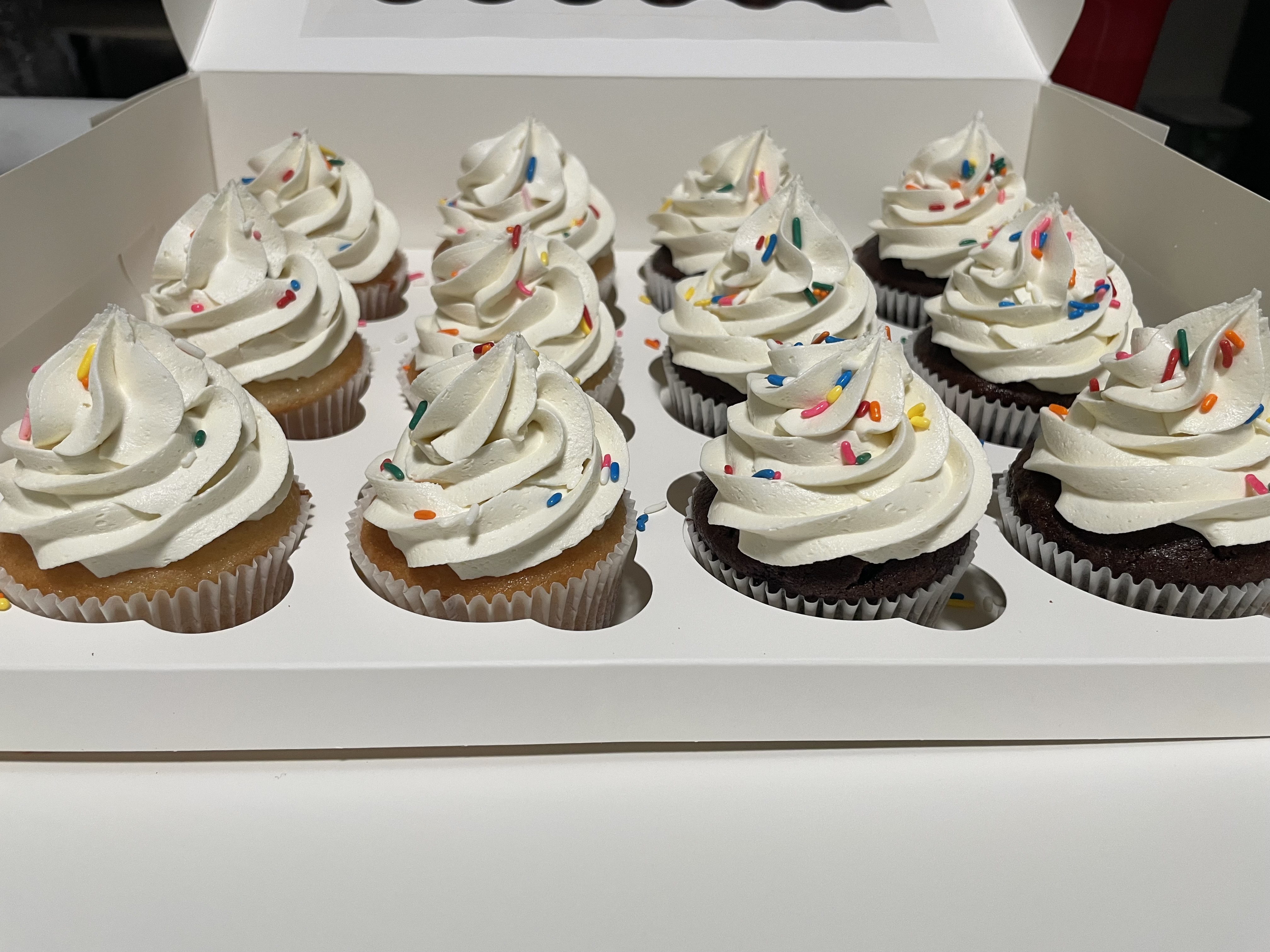 Chocolate Cupcakes 