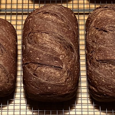Chocolate (Sourdough)
