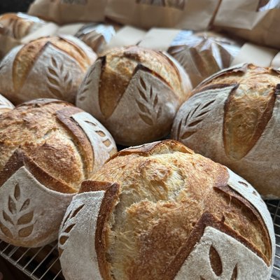 Mini Classic Sourdough Boule
