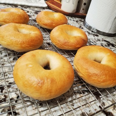  Sourdough Bagels  (8)