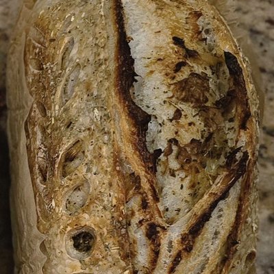Italian Herb And Roasted Garlic Sourdough Loaf