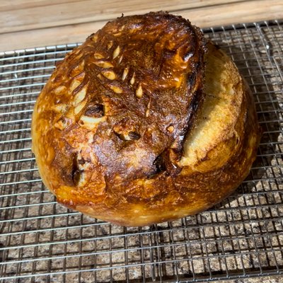 Roasted Garlic Parmesan Sourdough Loaf