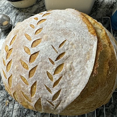 Sourdough Bread - Regular