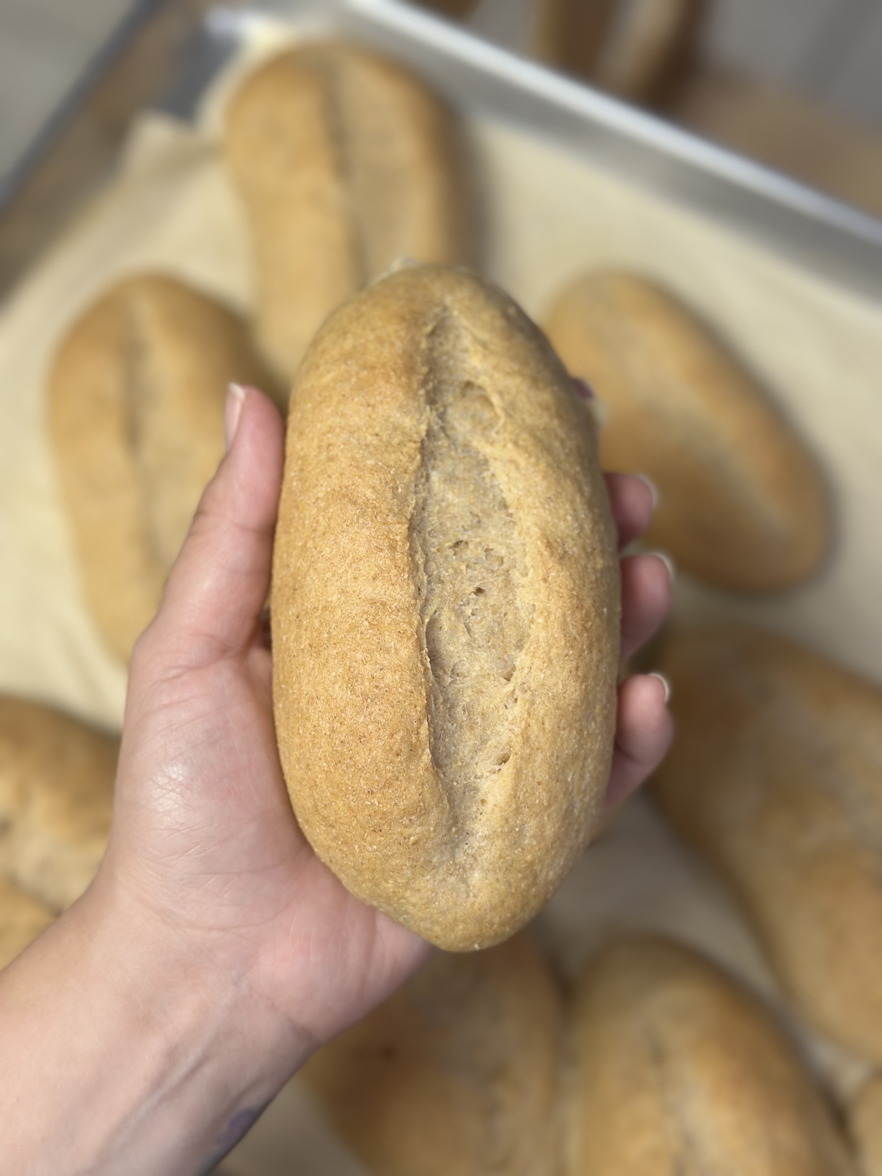 Bolillos