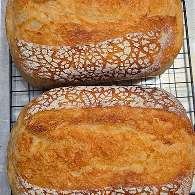 Regular Sourdough Sandwich Bread 