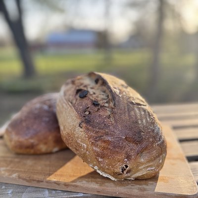 Rosemary & Olive Oil