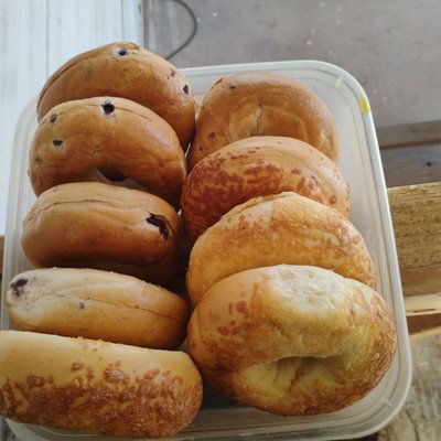 Blueberry Bagels 
