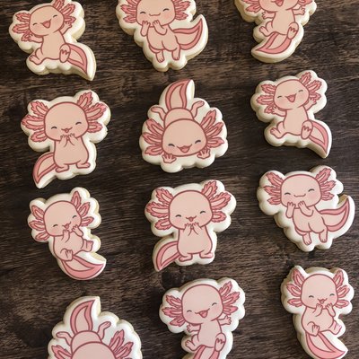 Standard Eddie Printed Cookies 