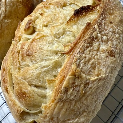 Junior Croissant Sourdough Loaf 