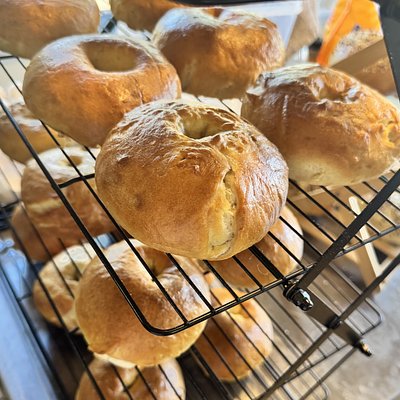 Sourdough Bagel 
