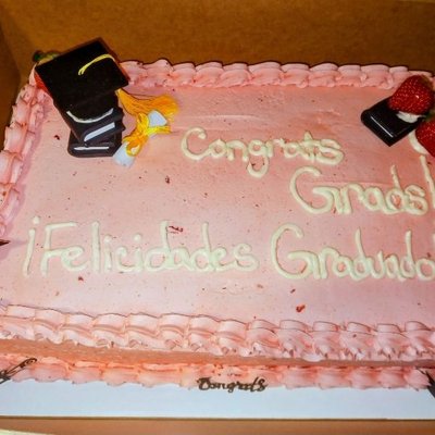2 Layer 1/2 SHEET CAKE