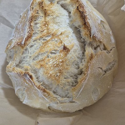 Plain Artisan Sourdough Loaf