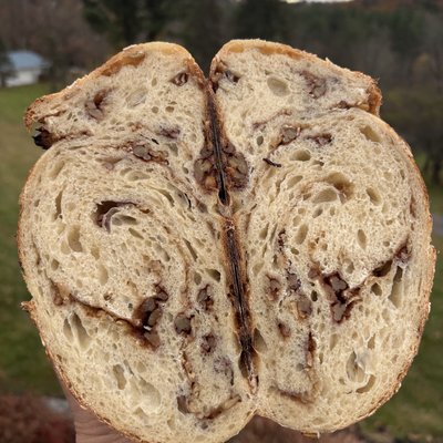 Toasty Pecan Oat Sourdough 