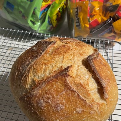 Classic Sourdough Loaf