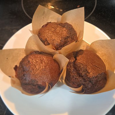 Double Chocolate Chip Muffins 